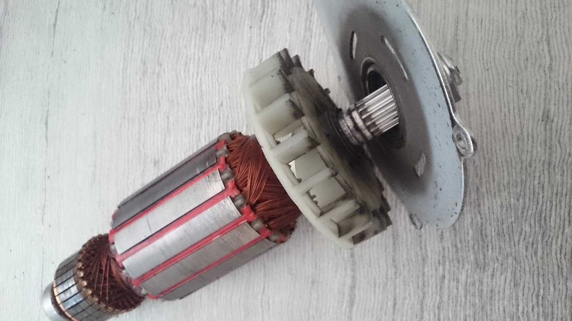 Robustes Arbeitstier