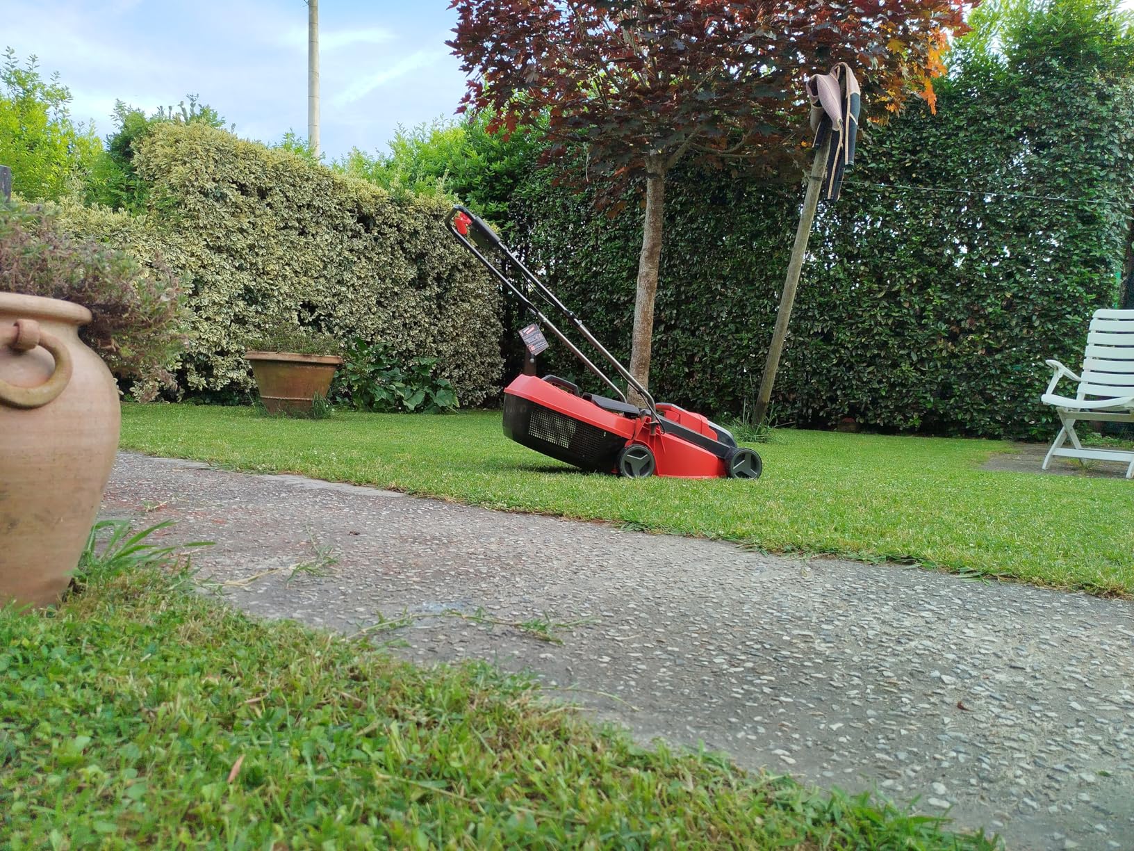Guter Mäher für den Preis