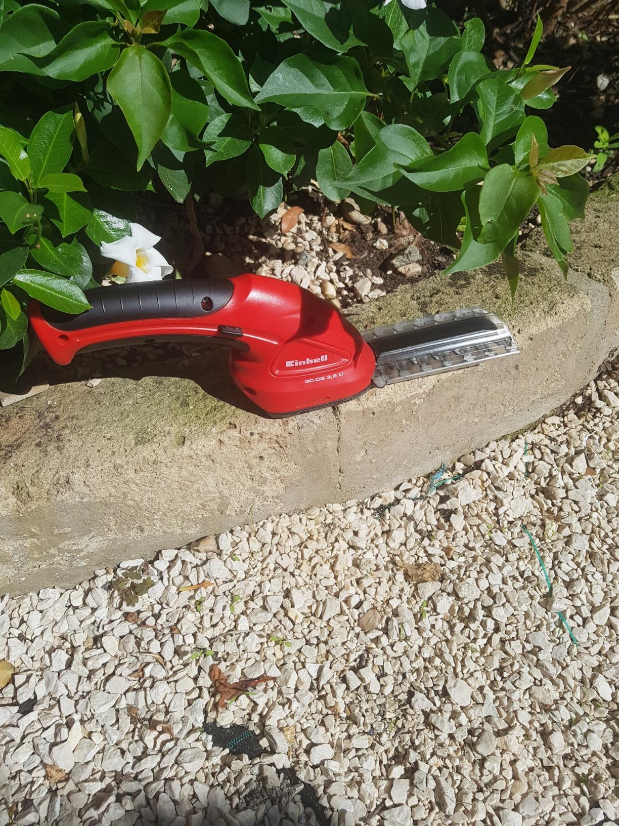 Unverzichtbar im Sommer