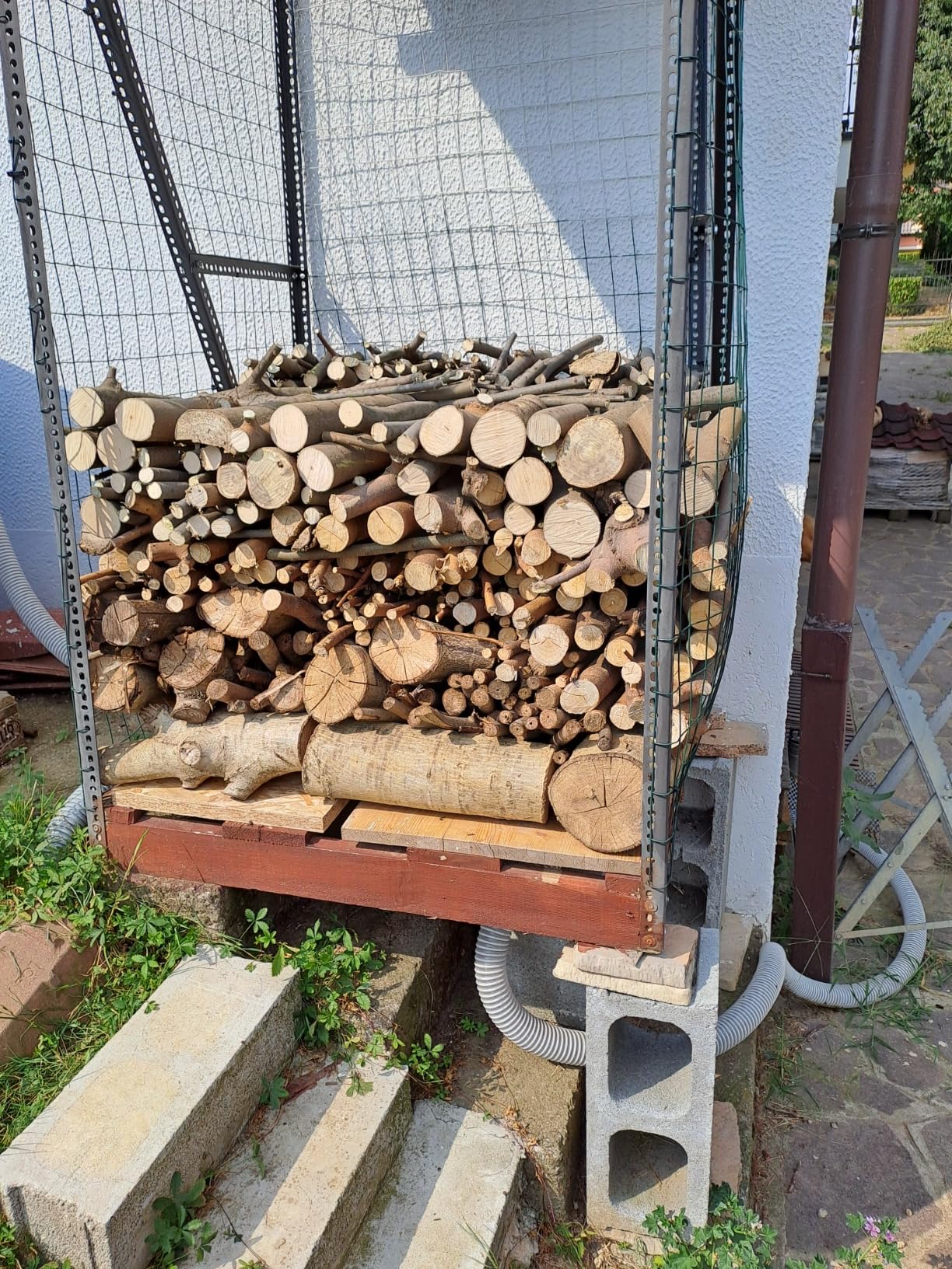 Perfekt für Obstbaumschnitt