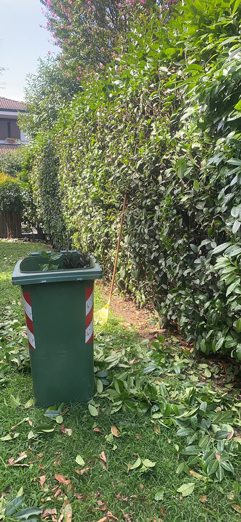 Top für den Hausgebrauch