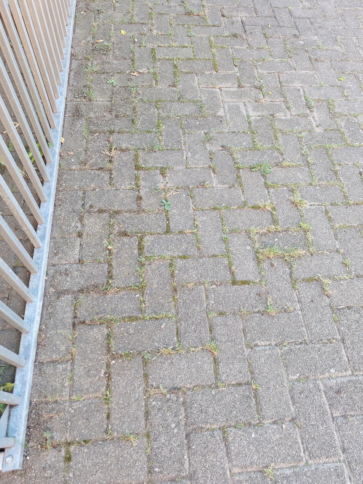 Rückenfreundliche Alternative zur Bürste