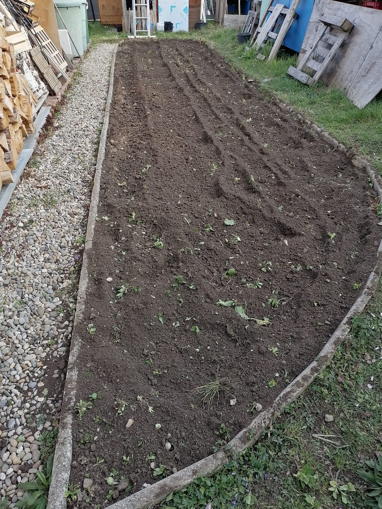 Beste Investition im Garten