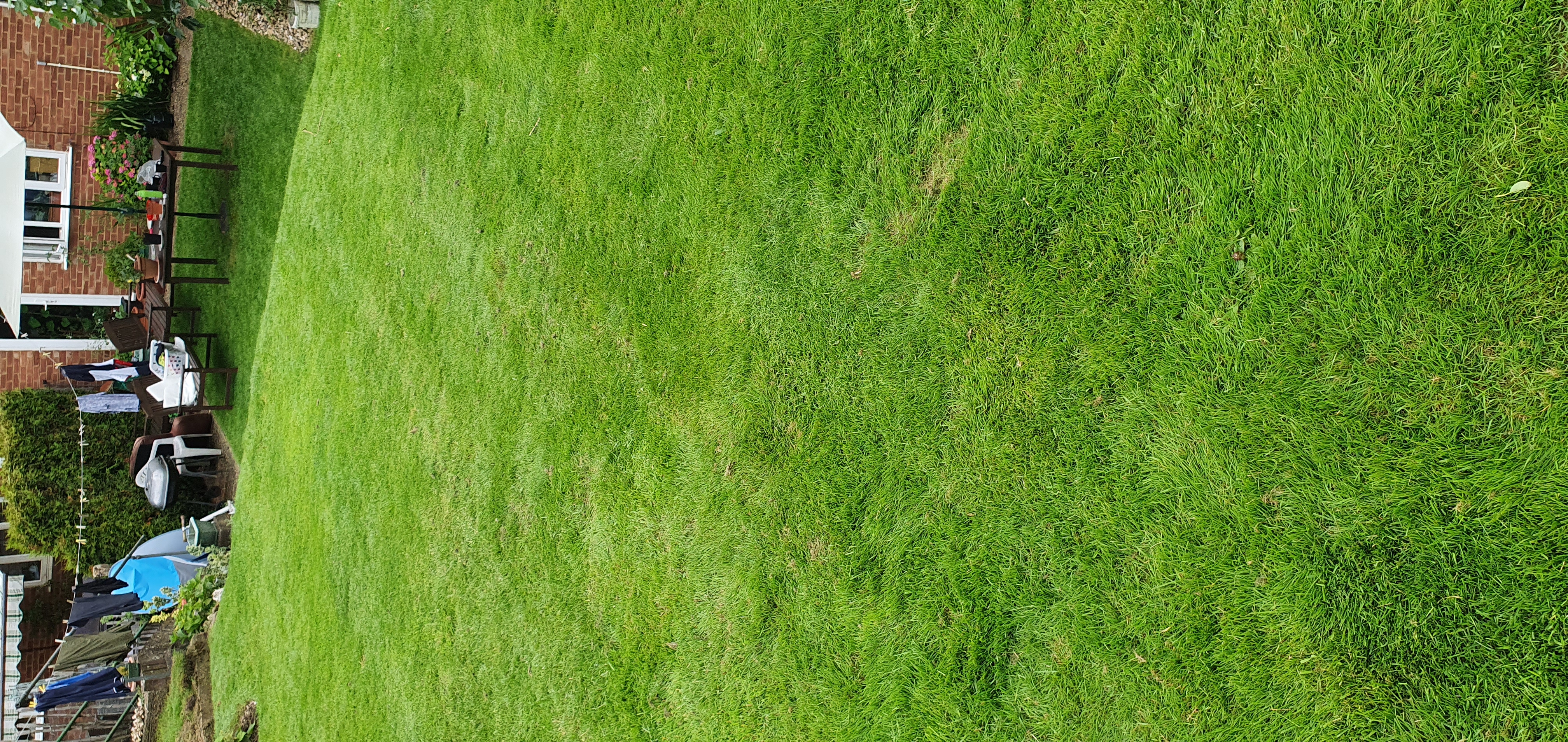 Wie früher bei Oma im Garten