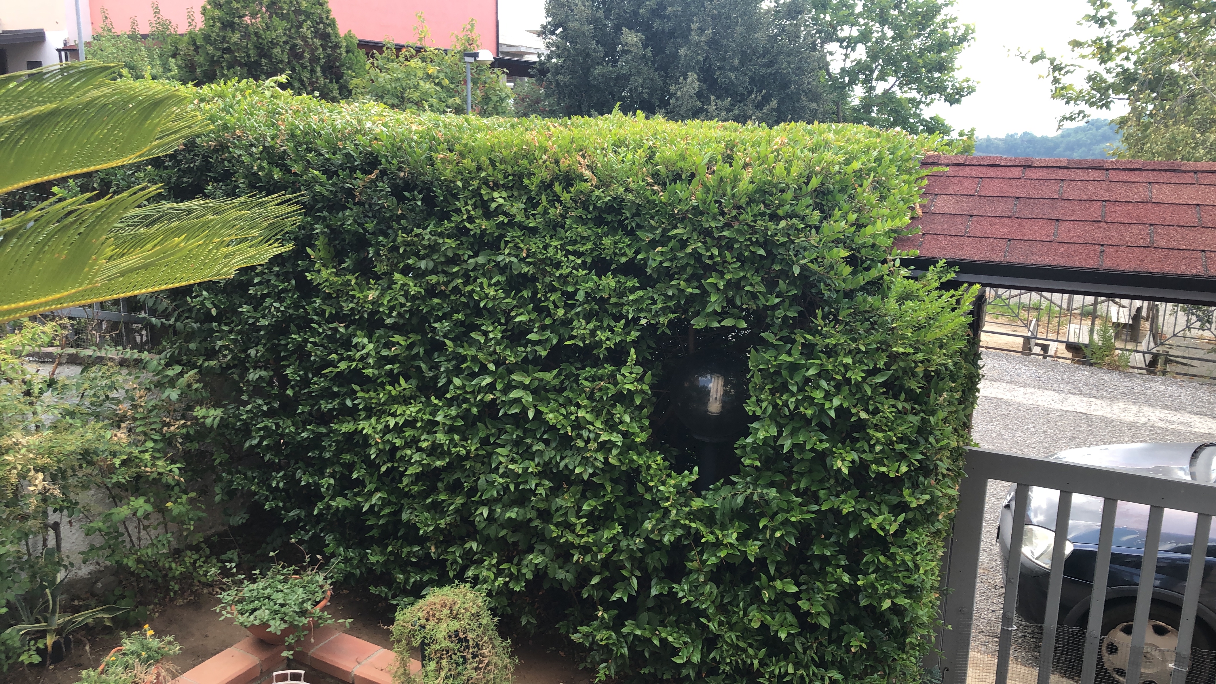 Schnell und präzise